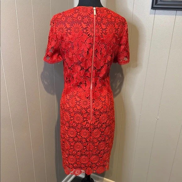 B6 Karen Millen Women’s 6 Scarlet Floral Lace Midi Dress - Picture 4 of 6
